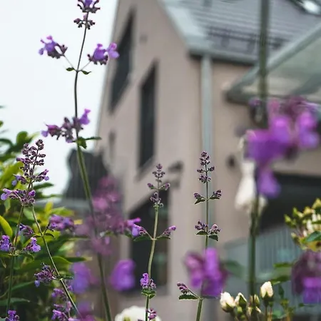 Freistehendes Renkenmuehle Naeher Kann Man Am Wasser Nicht Wohnen Feriehus *