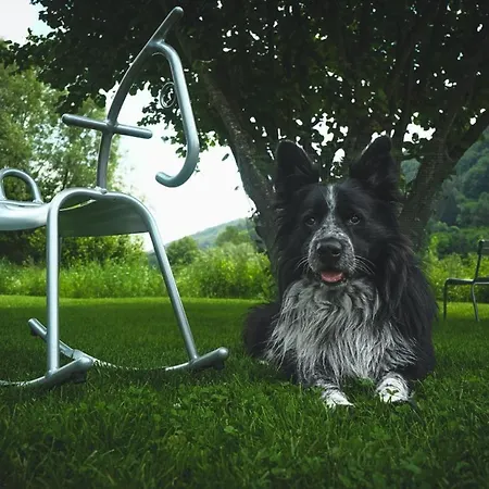 Freistehendes Renkenmuehle Naeher Kann Man Am Wasser Nicht Wohnen * Eberbach (Hohenlohe)