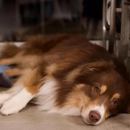 Freistehendes Renkenmuehle Naeher Kann Man Am Wasser Nicht Wohnen Feriehus *