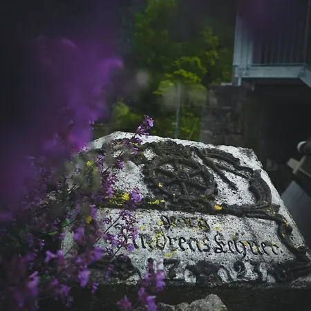 Freistehendes Renkenmuehle Naeher Kann Man Am Wasser Nicht Wohnen