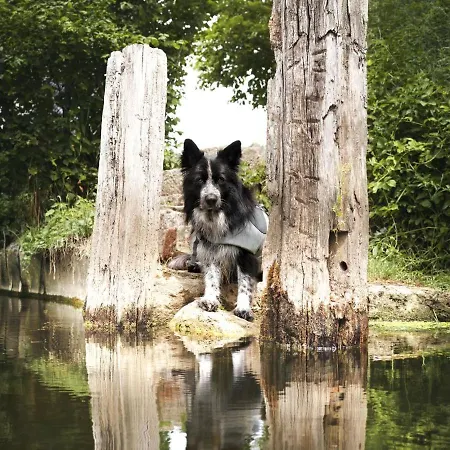 Freistehendes Renkenmuehle Naeher Kann Man Am Wasser Nicht Wohnen 度假居