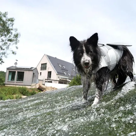 Freistehendes Renkenmuehle Naeher Kann Man Am Wasser Nicht Wohnen *