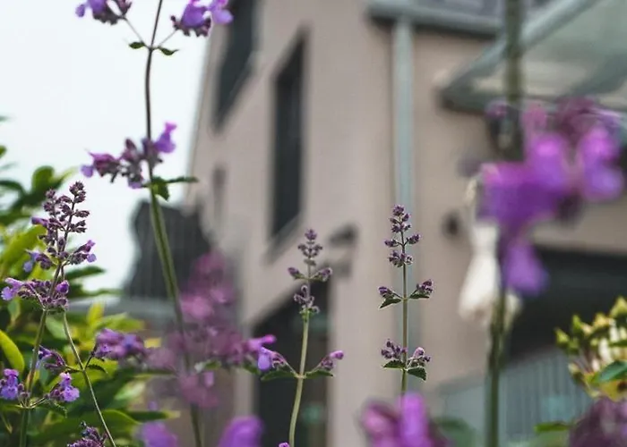 Freistehendes Renkenmühle Näher Kann Man Am Wasser Nicht Wohnen Сasa de vacaciones *