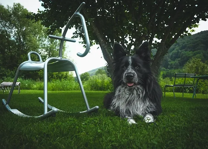 Freistehendes Renkenmühle Näher Kann Man Am Wasser Nicht Wohnen * Eberbach (Hohenlohe)