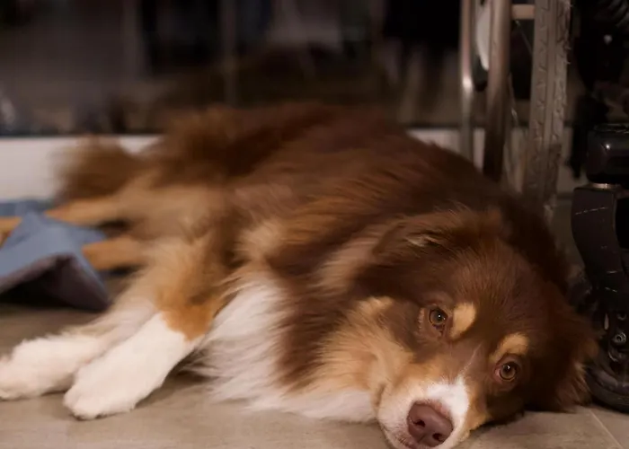 Freistehendes Renkenmühle Näher Kann Man Am Wasser Nicht Wohnen Сasa de vacaciones *